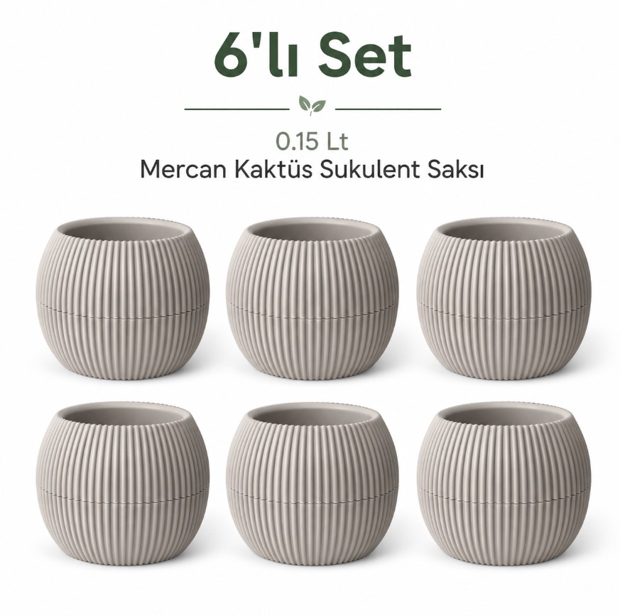 Mercan Kaktüs Sukulent Mini Bitki Saksısı 6lı Set