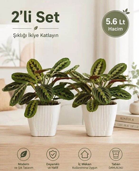 Zambak Dekoratif Plastik Saksı 5.6 Lt No:4 Kirli Beyaz 2 Adet